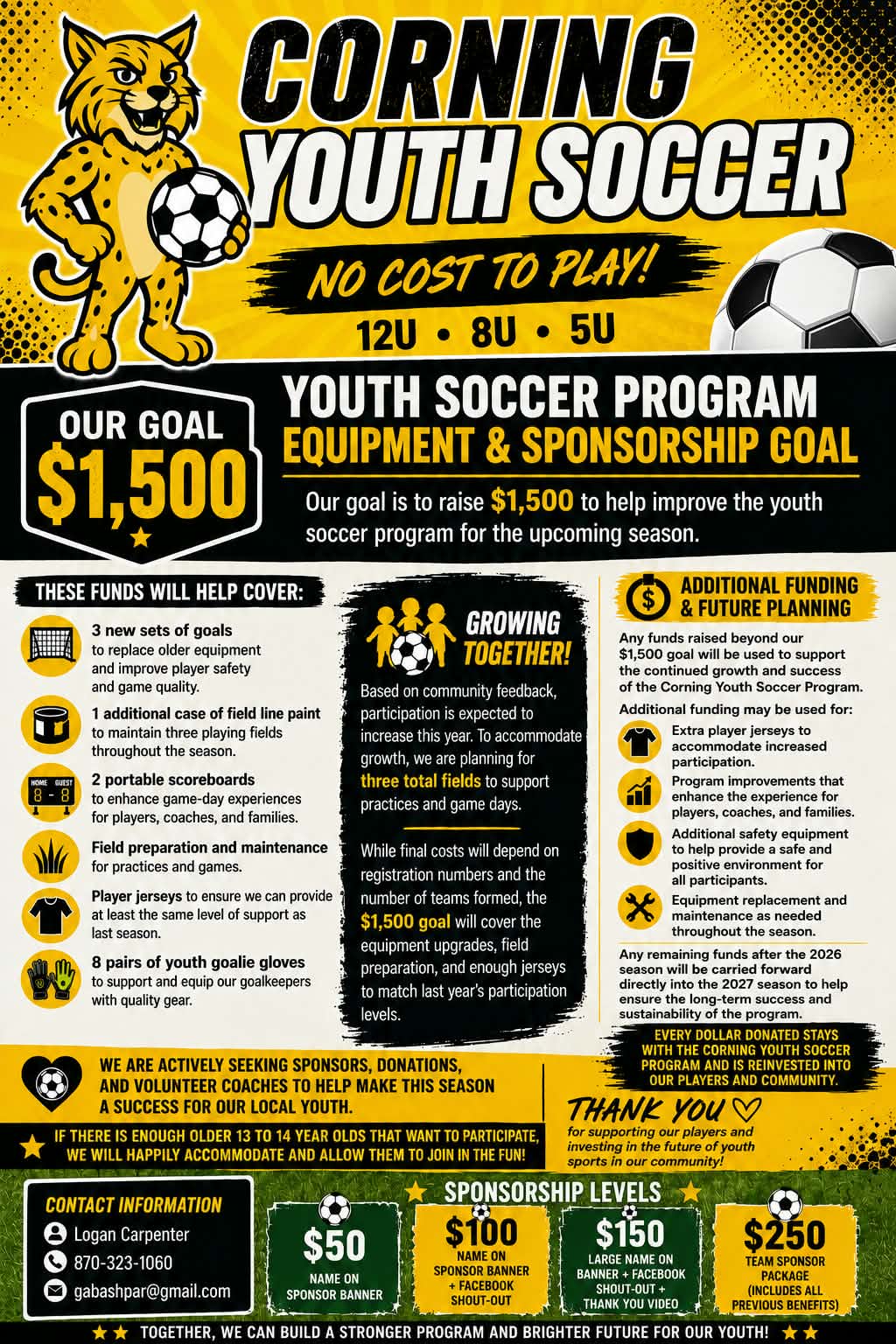 Youth Soccer League 2026 - Donations